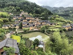-杨家堂村