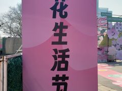 -金茂览秀城