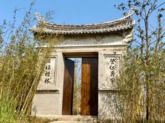 -三垟湿地