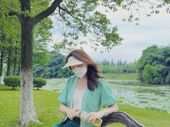 -艾溪湖湿地公园