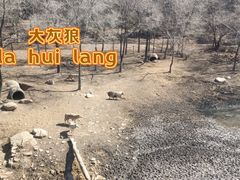 -沈阳森林动物园