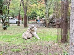 -秦皇岛野生动物园