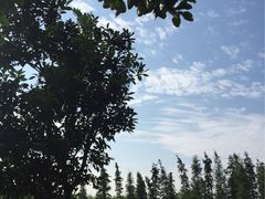 -艾溪湖湿地公园