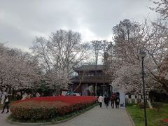 -堤角公园