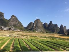 -钟山水墨田园