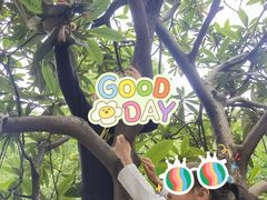 -塘栖枇杷特色园区