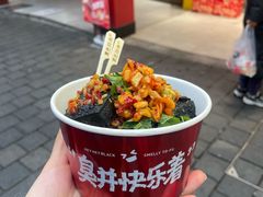 -黑色经典臭豆腐·湖南特产(坡子街店)