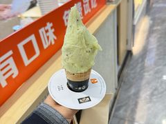 -野人先生现做冰淇淋(西安赛格店)