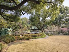 -申粤轩酒楼·三十年粤菜经典(丁香花园店)