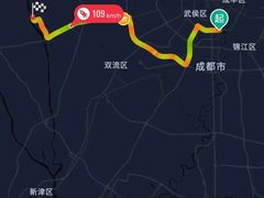 -成都泰迪熊博物馆