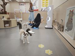 -大悦城(沈阳中街店)