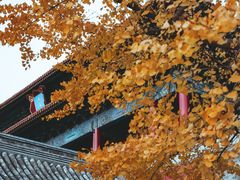-东华门大街小区