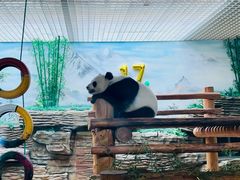 -西霞口神雕山野生动物世界