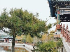 -迎泽公园