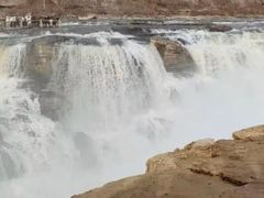-陕西黄河壶口瀑布旅游区