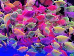 -三旗百汇商品城