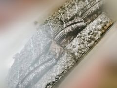 奥利奥魔法棒-奈雪的茶(苏宁广场店)