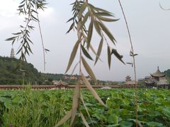 -渭南桃花源民俗文化园