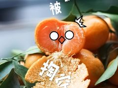 -南宁良凤江国家森林公园