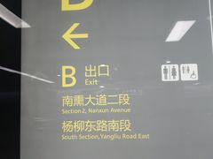 -杨柳河(地铁站)