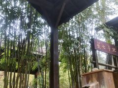 -崇阳三特浪口温泉
