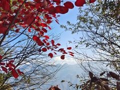 -秦岭终南山世界地质公园翠华山景区