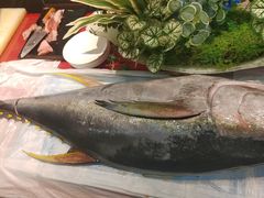 -海玥荟海鲜姿造自助餐厅(欧罗巴广场店)