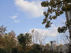 -山东省千佛山医院