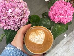 -concerto协奏曲咖啡店