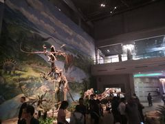 -自贡恐龙博物馆