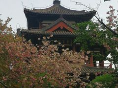 -西安青龙寺遗址景区