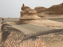 景点&nbsp;孔雀-敦煌雅丹国家地质公园