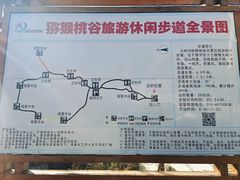 -大岭沟猕猴桃谷风景区