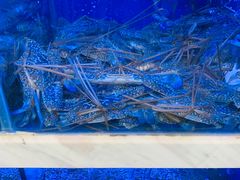 -青石桥市场北1-27号