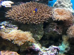 -鹿儿岛水族馆