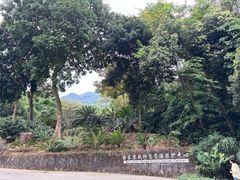 -深圳仙湖植物园