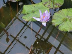 -北京植物园-展览温室