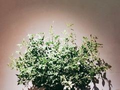 -山里亲戚(淞虹路店)
