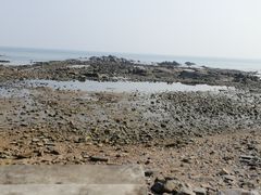 -海合安青岛极地海洋公园