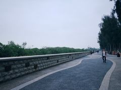 -宝安西湾红树林湿地公园