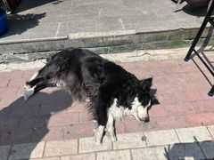 -哈尔滨北方国际青年旅舍(中央大街店)