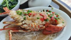 -臻康乃馨月子中心(集美店)