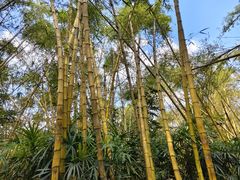 -水濂山森林公园