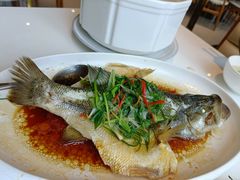 -至潮餐厅精致粤菜·活鲈鱼·走地鸡(珠江新城店)