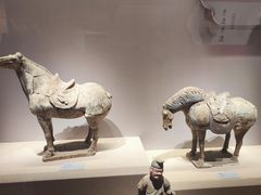 -陕西历史博物馆