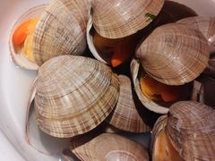 黄蚬子-日丰园海肠水饺·老字号大连海鲜(和平广场店)