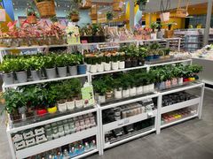 -KKV(重庆光环购物公园店)
