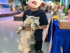 -顺德南宏海立方海洋公园