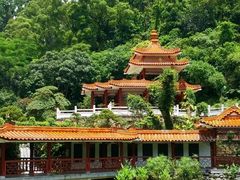 -深圳仙湖植物园