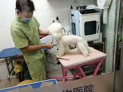 -芭比堂动物医院(广州爱宠下渡路分院)